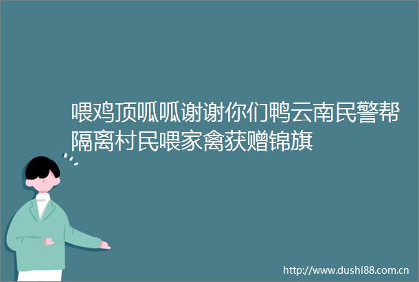 喂鸡顶呱呱谢谢你们鸭云南帮隔离村民喂家禽获赠锦旗