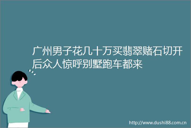 广州男子花几十万买翡翠赌石切开后众人惊呼别墅跑车都来