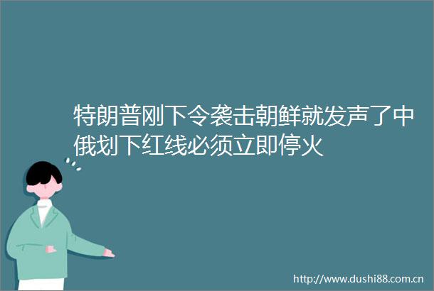 特朗普刚下令袭击朝鲜就发声了中俄划下红线必须立即停火