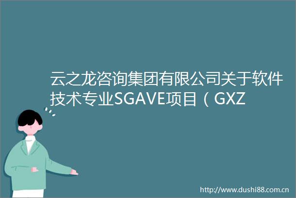 云之龙咨询集团有限公司关于软件技术专业SGAVE项目（GXZC2024C3005608YZLZ）成交结果公告