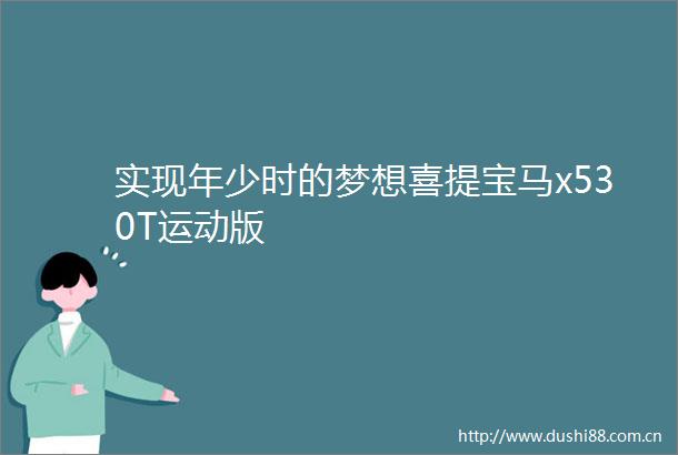 实现年少时的梦想喜提宝马x530T运动版