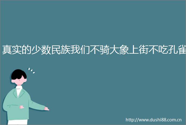 真实的少数民族我们不骑大象上街不吃孔雀