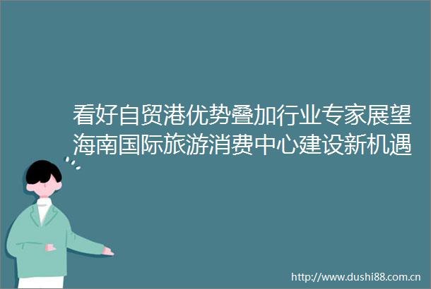看好自贸港优势叠加行业专家展望海南国际旅游消费中心建设新机遇