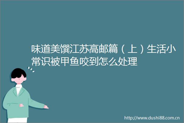 味道美馔江苏高邮篇（上）生活小常识被甲鱼咬到怎么处理