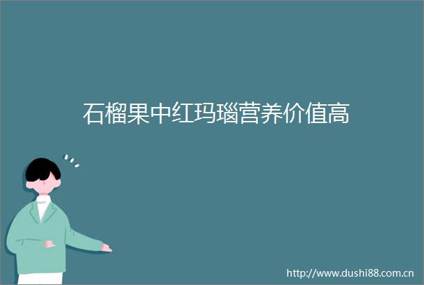 石榴果中红玛瑙营养价值高