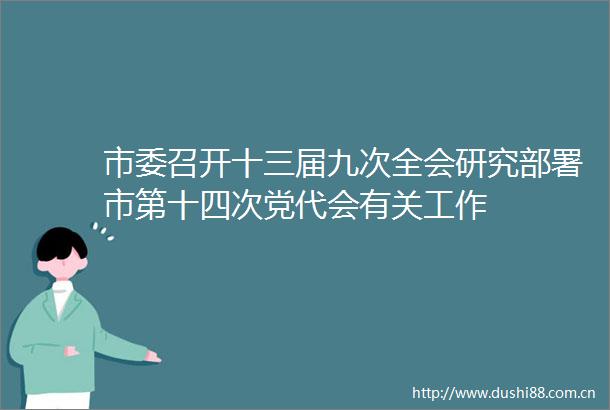 市委召开十三届九次全会研究部署市第十四次党代会有关工作