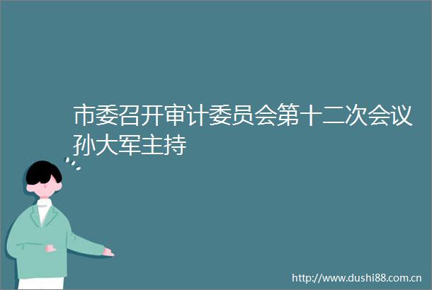 市委召开审计委员会第十二次会议孙大军主持