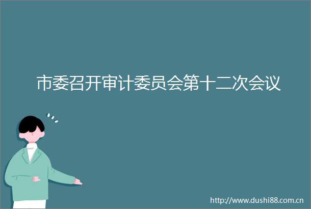 市委召开审计委员会第十二次会议