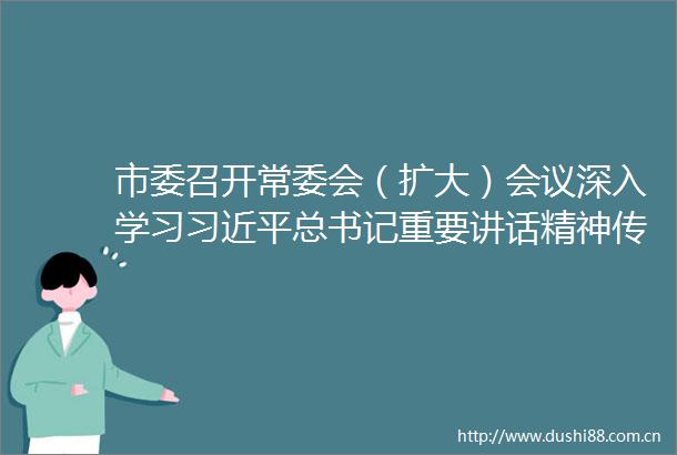 市委召开常委会（扩大）会议深入学习总书记重要讲话精神传达学习全国两会精神
