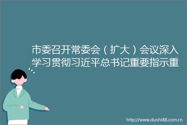 市委召开常委会（扩大）会议深入学习贯彻总书记重要指示重要贺信精神
