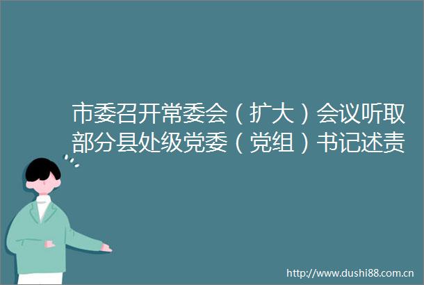 市委召开常委会（扩大）会议听取部分县处级党委（党组）书记述责述廉
