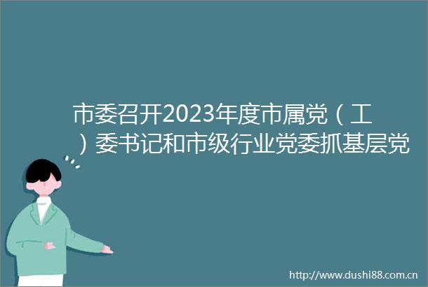 市委召开2023年度市属党（工）委书记和市级行业党委抓基层党建工作述职评议会
