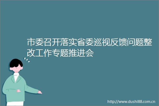 市委召开落实省委巡视反馈问题整改工作专题推进会
