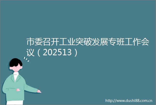 市委召开工业突破发展专班工作会议（202513）