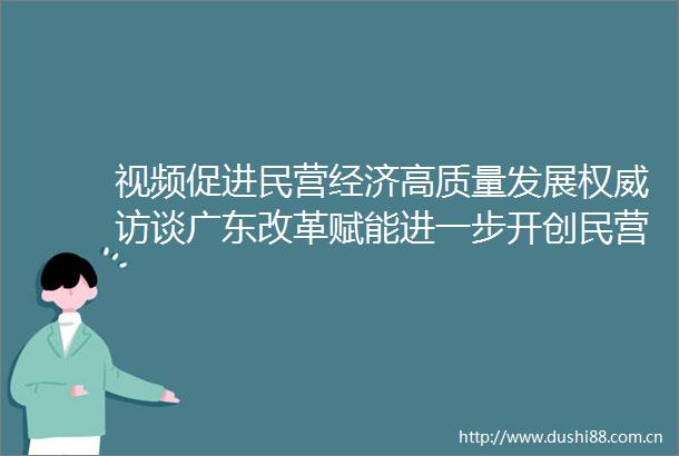 视频促进民营经济高质量发展权威访谈广东改革赋能进一步开创民营经济发展新局面
