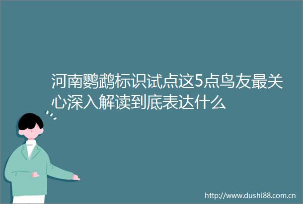 河南鹦鹉标识试点这5点鸟友最关心深入解读到底表达什么