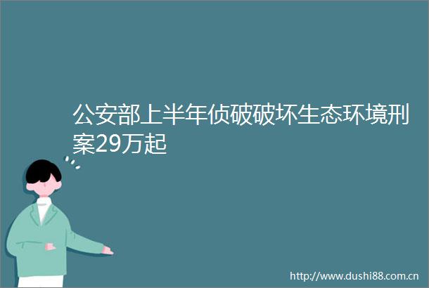 部上半年侦破破坏生态环境刑案29万起