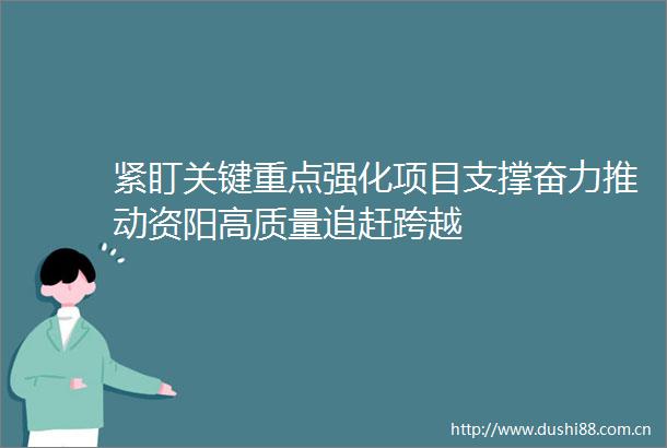 紧盯关键重点强化项目支撑奋力推动资阳高质量追赶跨越