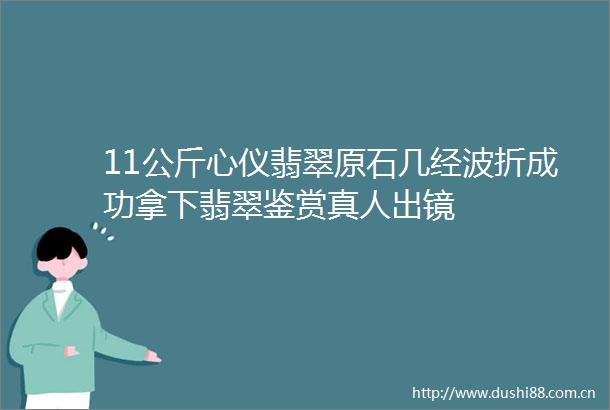 11公斤心仪翡翠原石几经波折成功拿下翡翠鉴赏真人出镜