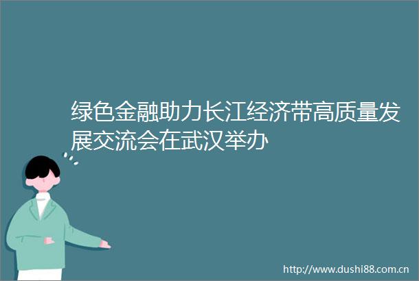 绿色金融助力长江经济带高质量发展交流会在武汉举办