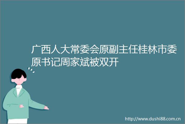 广西人大常委会原副主任桂林市委原书记周家斌被双开