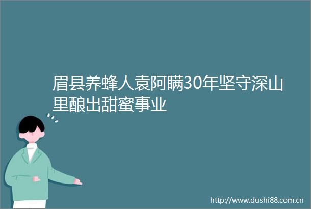 眉县养蜂人袁阿瞒30年坚守深山里酿出甜蜜事业