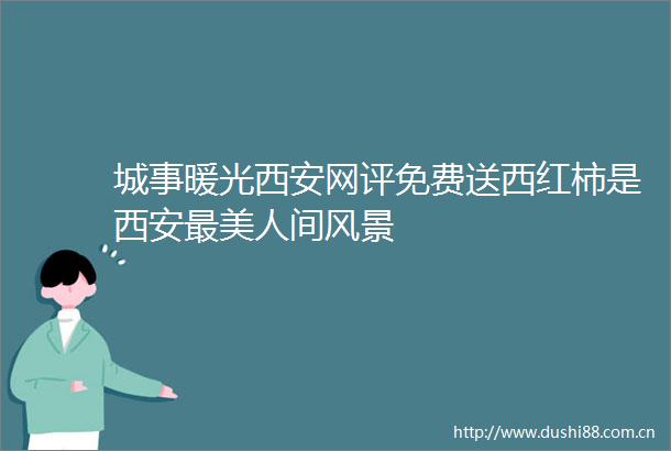 城事暖光西安网评免费送西红柿是西安最美人间风景