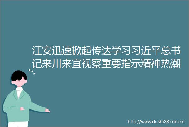 江安迅速掀起传达学习总书记来川来宜视察重要指示精神热潮（三）