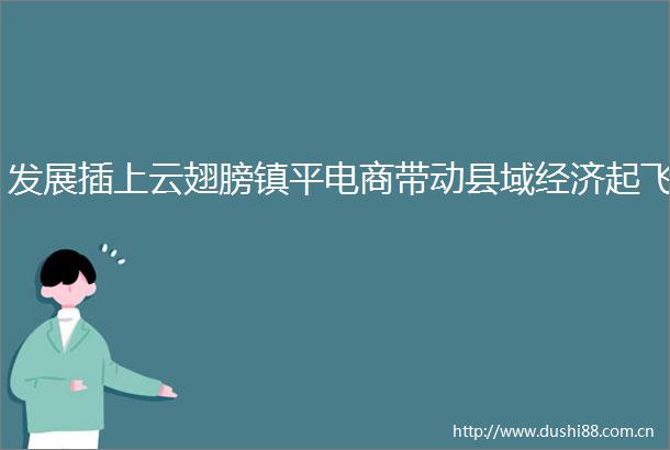 发展插上云翅膀镇平电商带动县域经济起飞