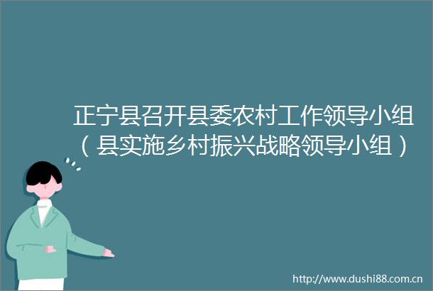 正宁县召开县委农村工作小组（县实施乡村振兴战略小组）2022年第三次会议