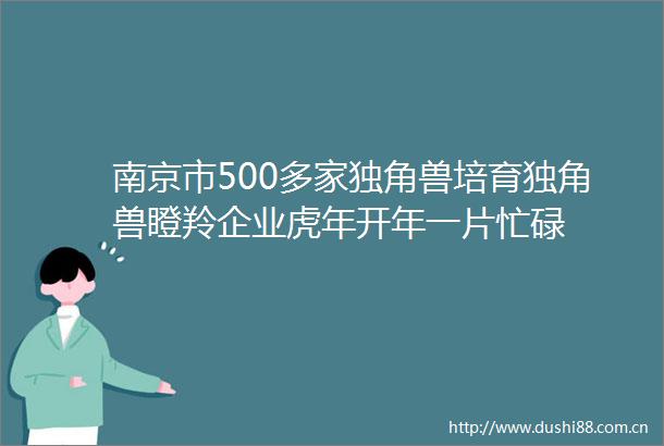 南京市500多家独角兽培育独角兽瞪羚企业虎年开年一片忙碌