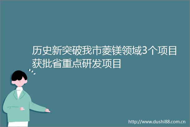 历史新突破我市菱镁领域3个项目获批省重点研发项目