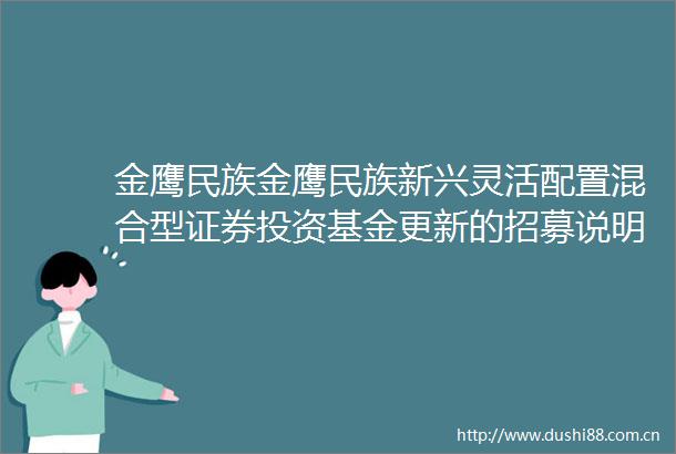 金鹰民族金鹰民族新兴灵活配置混合型证券投资基金更新的招募说明书