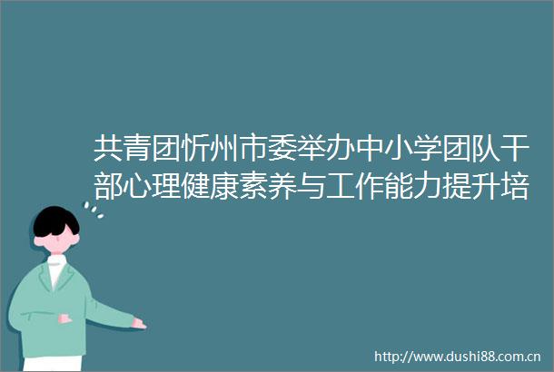 共青团忻州市委举办中小学团队心理健康素养与工作能力提升培训