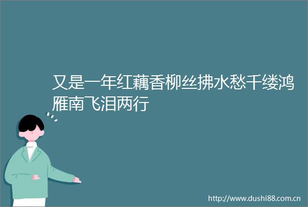 又是一年红藕香柳丝拂水愁千缕鸿雁南飞泪两行