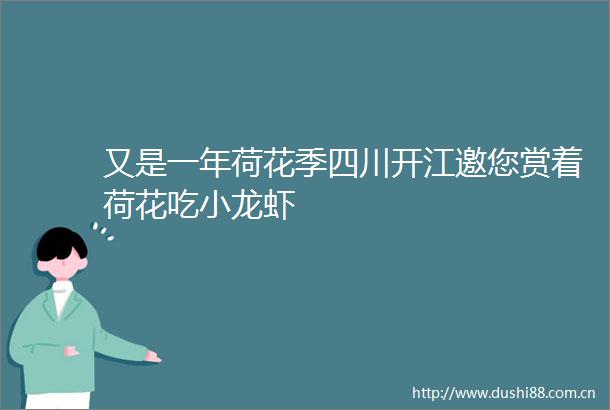 又是一年荷花季四川开江邀您赏着荷花吃小龙虾