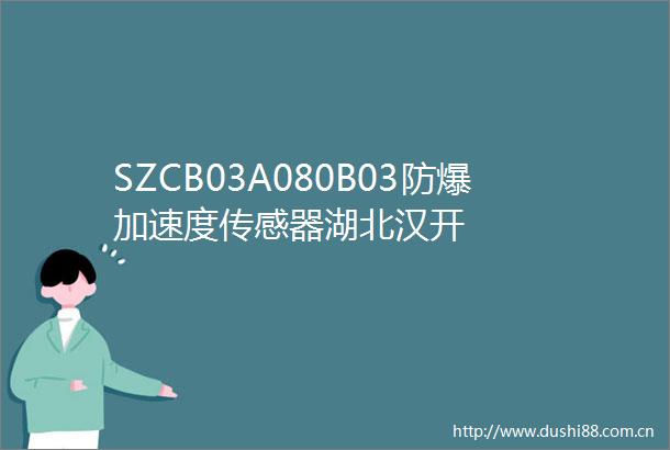 SZCB03A080B03防爆加速度传感器湖北汉开