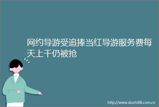 网约导游受追捧当红导游服务费每天上千仍被抢