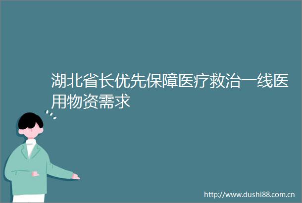 湖北省长优先保障医疗救治一线医用物资需求
