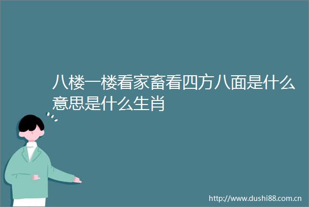 八楼一楼看家畜看四方八面是什么意思是什么生肖