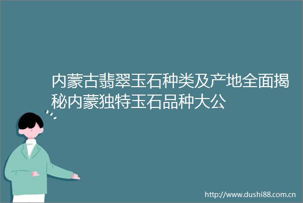 内蒙古翡翠玉石种类及产地全面揭秘内蒙独特玉石品种大公