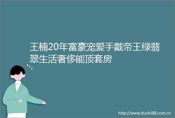 王楠20年富豪宠爱手戴帝王绿翡翠生活奢侈能顶套房