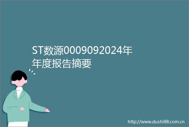 ST数源0009092024年年度报告摘要