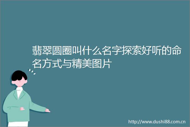 翡翠圆圈叫什么名字探索好听的命名方式与精美图片