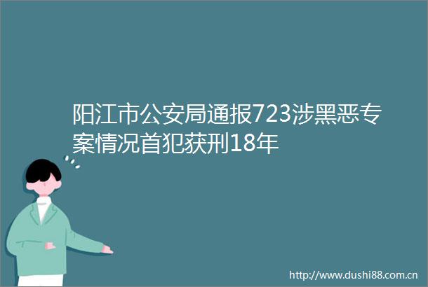 阳江市局通报723涉专案情况首犯获刑18年
