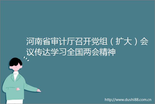 河南省审计厅召开党组（扩大）会议传达学习全国两会精神