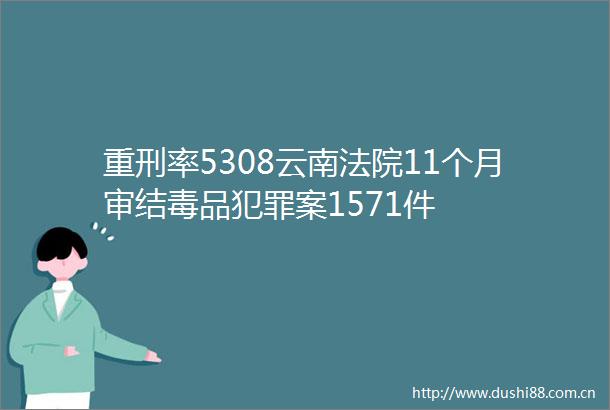 重刑率5308云南11个月审结毒品案1571件