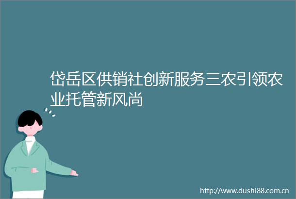 岱岳区供销社创新服务三农引领农业托管新风尚