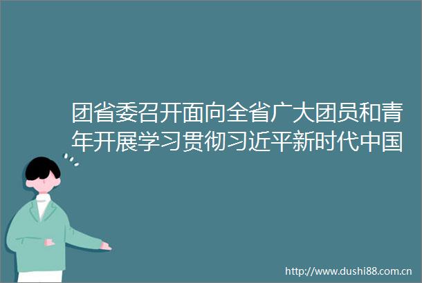 团省委召开面向全省广大团员和青年开展学习贯彻新时代特色社会主义思想主题教育工作会议