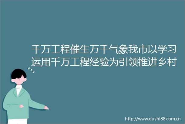 千万工程催生万千气象我市以学习运用千万工程经验为引领推进乡村全面振兴